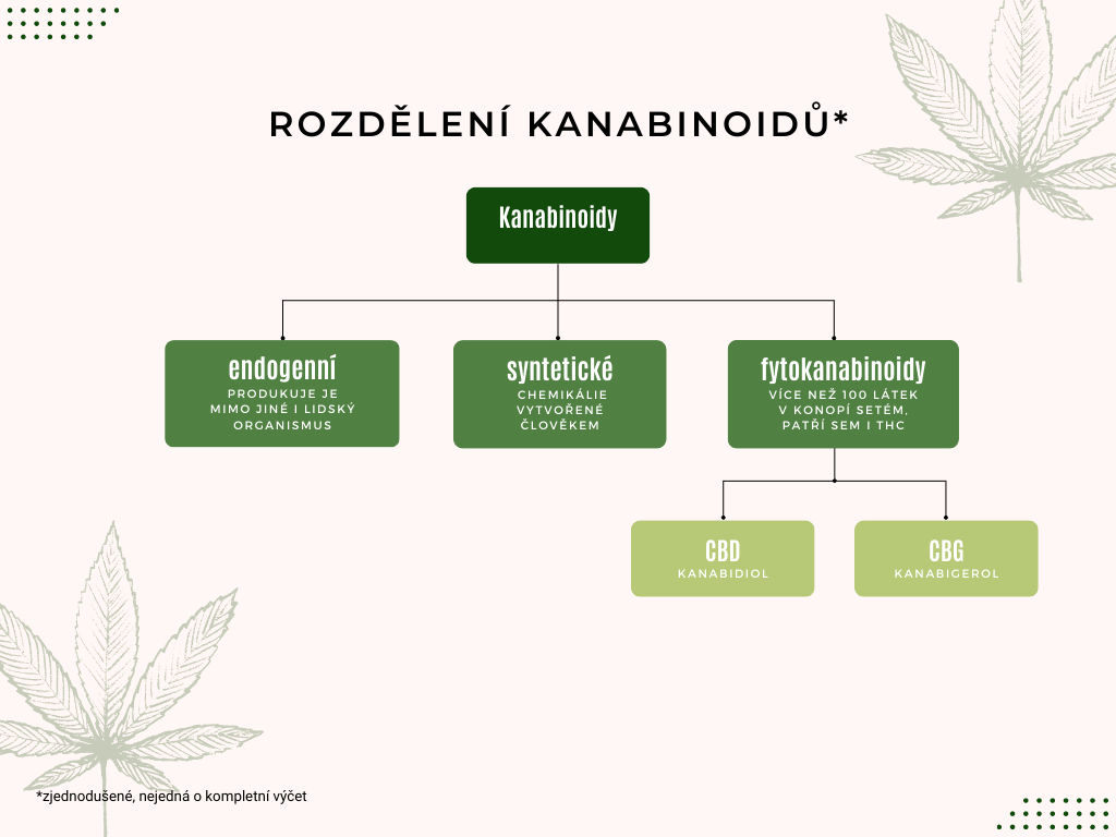 Rozdělení kanabinoidů